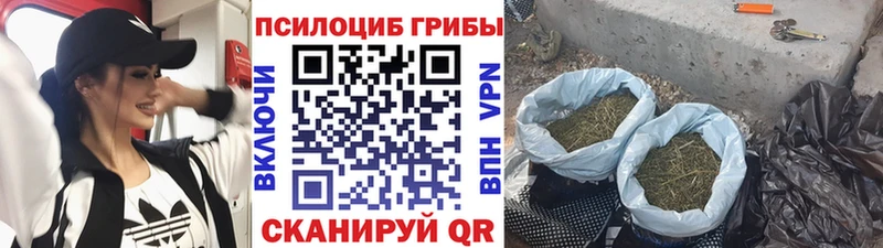 ссылка на мегу ТОР  Можайск  Псилоцибиновые грибы Magic Shrooms 